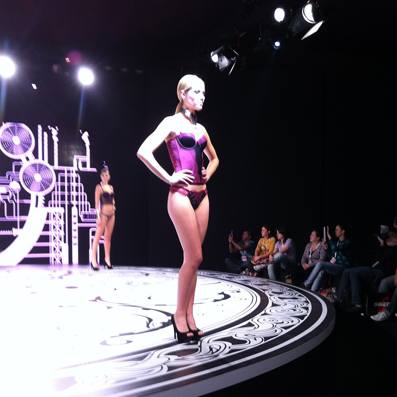 Conceituacao desfiles